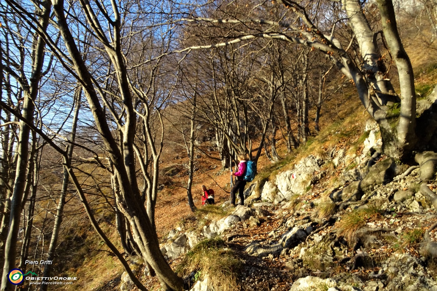 87 Dai pascoli aperti rientriamo nel bosco .JPG